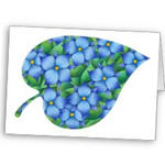 Flower picture - Lovely blue flower